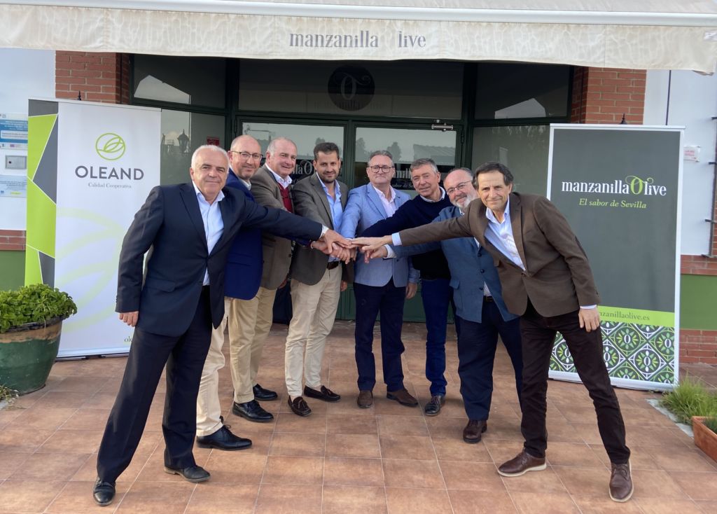 OLEAND y MANZANILLA OLIVE aprueban su fusión y se convierten en la mayor cooperativa de aceituna de mesa de Andalucía